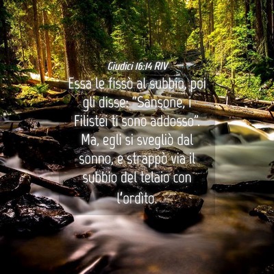 Picture 04 - Giudici 16:14 RIV - Essa le fissò al subbio, poi gli disse: - Bible Verse Picture