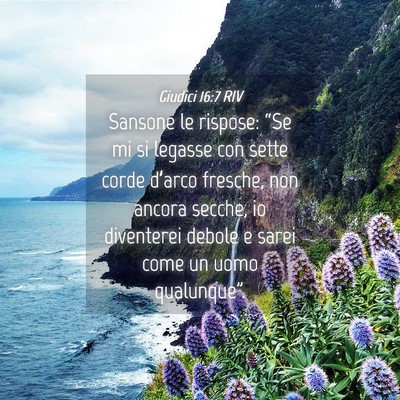 Picture 04 - Giudici 16:7 RIV - Sansone le rispose: “Se mi si legasse con sette - Bible Verse Picture