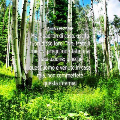 Picture 04 - Giudici 19:23 RIV - Ma il padron di casa, uscito fuori disse loro: - Bible Verse Picture