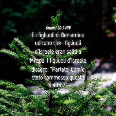 Picture 04 - Giudici 20:3 RIV - E i figliuoli di Beniamino udirono che i - Bible Verse Picture