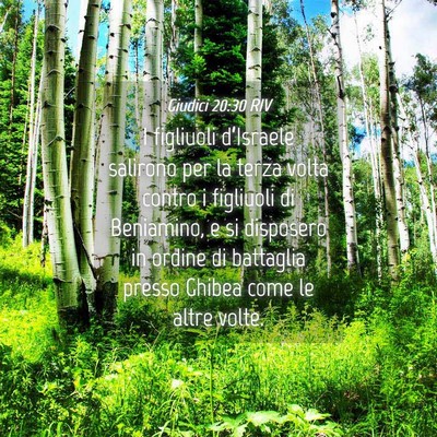 Picture 04 - Giudici 20:30 RIV - I figliuoli d’Israele salirono per la terza - Bible Verse Picture