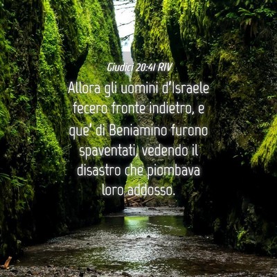 Picture 04 - Giudici 20:41 RIV - Allora gli uomini d’Israele fecero fronte - Bible Verse Picture