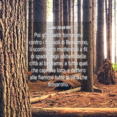 Picture 04 - Giudici 20:48 RIV - Poi gl’Israeliti tornarono contro i figliuoli - Bible Verse Picture