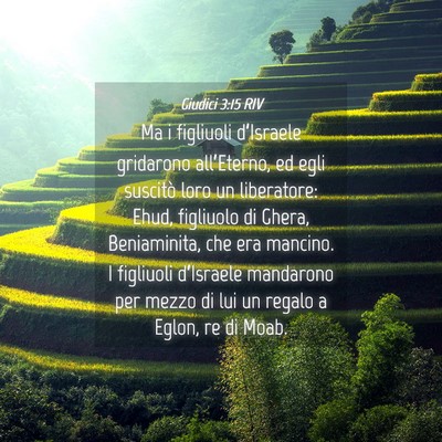 Picture 04 - Giudici 3:15 RIV - Ma i figliuoli d’Israele gridarono - Bible Verse Picture