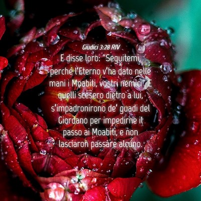 Picture 04 - Giudici 3:28 RIV - E disse loro: “Seguitemi, perché l’Eterno - Bible Verse Picture