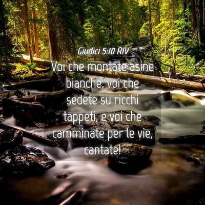 Picture 04 - Giudici 5:10 RIV - Voi che montate asine bianche, voi che sedete su - Bible Verse Picture
