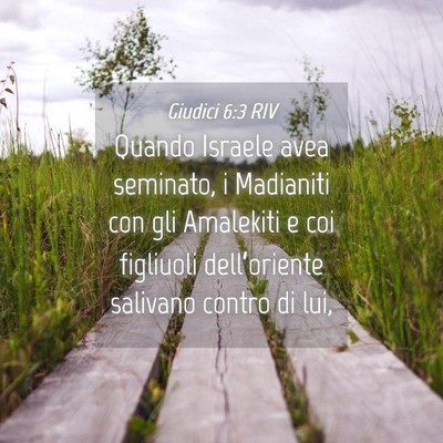 Picture 04 - Giudici 6:3 RIV - Quando Israele avea seminato, i Madianiti con gli - Bible Verse Picture