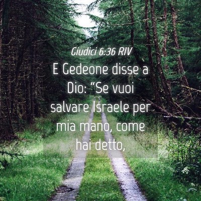 Picture 04 - Giudici 6:36 RIV - E Gedeone disse a Dio: “Se vuoi salvare Israele - Bible Verse Picture