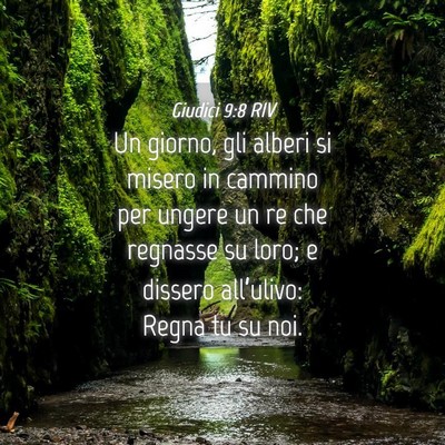 Picture 04 - Giudici 9:8 RIV - Un giorno, gli alberi si misero in cammino per - Bible Verse Picture