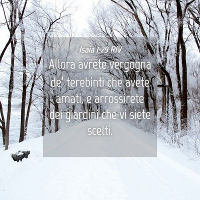 Picture 04 - Isaia 1:29 RIV - Allora avrete vergogna de’ terebinti che avete - Bible Verse Picture