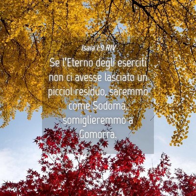 Picture 04 - Isaia 1:9 RIV - Se l’Eterno degli eserciti non ci avesse - Bible Verse Picture