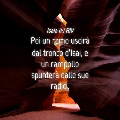 Picture 04 - Isaia 11:1 RIV - Poi un ramo uscirà dal tronco d’Isai, e un - Bible Verse Picture