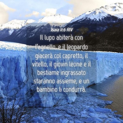 Picture 04 - Isaia 11:6 RIV - Il lupo abiterà con l’agnello, e il leopardo - Bible Verse Picture