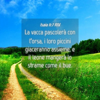 Picture 04 - Isaia 11:7 RIV - La vacca pascolerà con l’orsa, i loro piccini - Bible Verse Picture