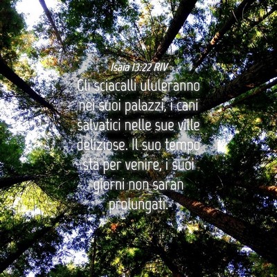 Picture 04 - Isaia 13:22 RIV - Gli sciacalli ululeranno nei suoi palazzi, i cani - Bible Verse Picture