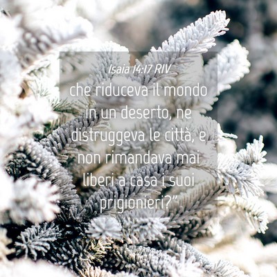 Picture 04 - Isaia 14:17 RIV - che riduceva il mondo in un deserto, ne - Bible Verse Picture