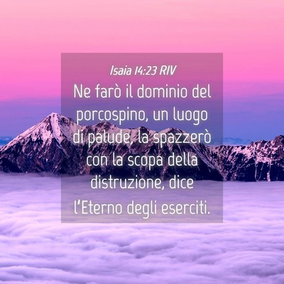 Picture 04 - Isaia 14:23 RIV - Ne farò il dominio del porcospino, un luogo di - Bible Verse Picture