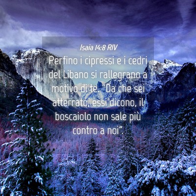 Picture 04 - Isaia 14:8 RIV - Perfino i cipressi e i cedri del Libano si - Bible Verse Picture