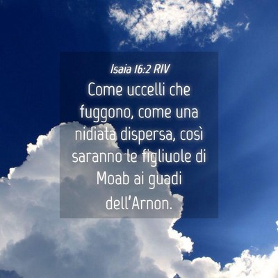 Picture 04 - Isaia 16:2 RIV - Come uccelli che fuggono, come una nidiata - Bible Verse Picture
