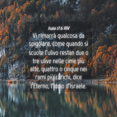 Picture 04 - Isaia 17:6 RIV - Vi rimarrà qualcosa da spigolare, come quando si - Bible Verse Picture