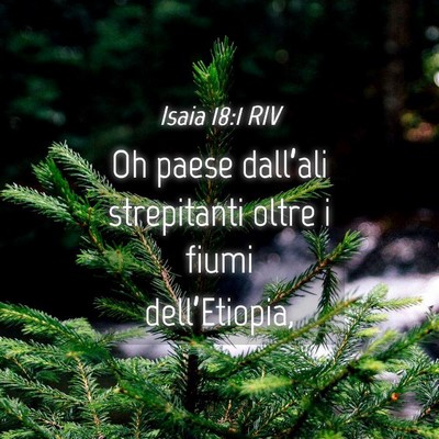 Picture 04 - Isaia 18:1 RIV - Oh paese dall’ali strepitanti oltre i fiumi - Bible Verse Picture