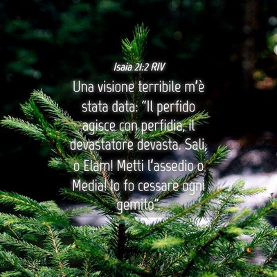 Picture 04 - Isaia 21:2 RIV - Una visione terribile m’è stata data: “Il - Bible Verse Picture