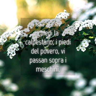 Picture 04 - Isaia 26:6 RIV - i piedi la calpestano, i piedi del povero, vi - Bible Verse Picture