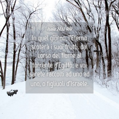 Picture 04 - Isaia 27:12 RIV - In quel giorno, l’Eterno scoterà i suoi - Bible Verse Picture