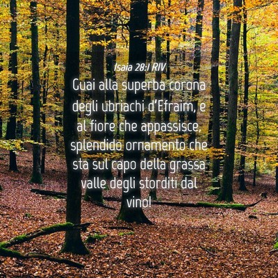 Picture 04 - Isaia 28:1 RIV - Guai alla superba corona degli ubriachi - Bible Verse Picture