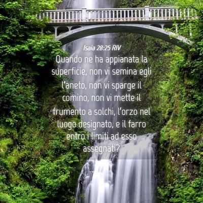 Picture 04 - Isaia 28:25 RIV - Quando ne ha appianata la superficie, non vi - Bible Verse Picture