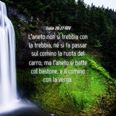 Picture 04 - Isaia 28:27 RIV - L’aneto non si trebbia con la trebbia, né si - Bible Verse Picture