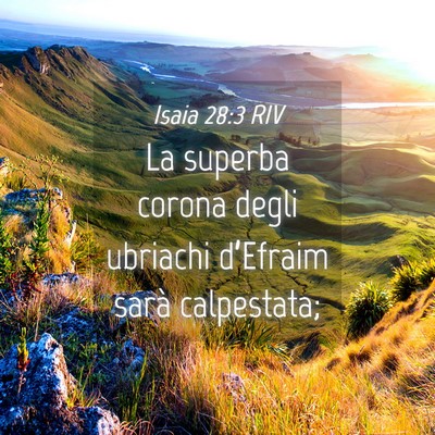 Picture 04 - Isaia 28:3 RIV - La superba corona degli ubriachi d’Efraim sarà - Bible Verse Picture
