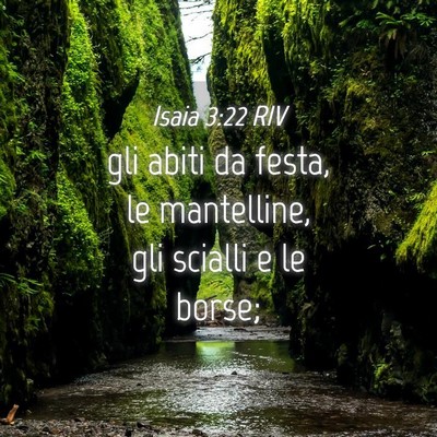 Picture 04 - Isaia 3:22 RIV - gli abiti da festa, le mantelline, gli scialli e - Bible Verse Picture