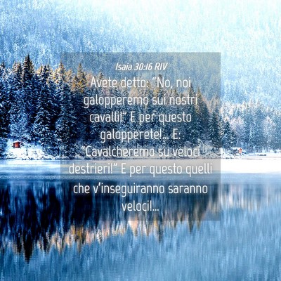Picture 04 - Isaia 30:16 RIV - Avete detto: “No, noi galopperemo sui nostri - Bible Verse Picture