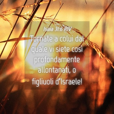 Picture 04 - Isaia 31:6 RIV - Tornate a colui dal quale vi siete così - Bible Verse Picture