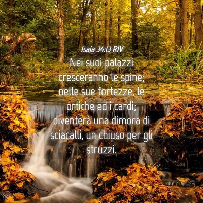 Picture 04 - Isaia 34:13 RIV - Nei suoi palazzi cresceranno le spine; nelle sue - Bible Verse Picture