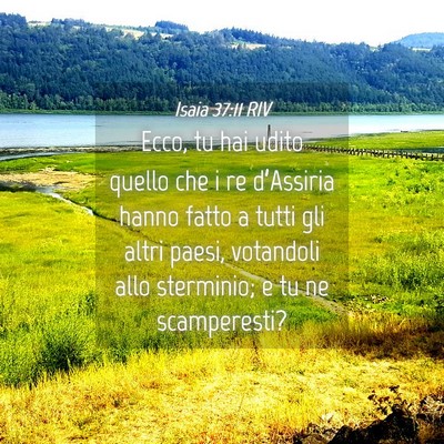 Picture 04 - Isaia 37:11 RIV - Ecco, tu hai udito quello che i re d’Assiria - Bible Verse Picture