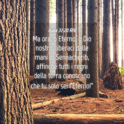 Picture 04 - Isaia 37:20 RIV - Ma ora, o Eterno, o Dio nostro, liberaci dalle - Bible Verse Picture