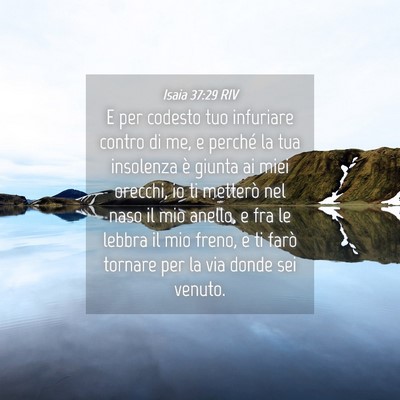 Picture 04 - Isaia 37:29 RIV - E per codesto tuo infuriare contro di me, e - Bible Verse Picture