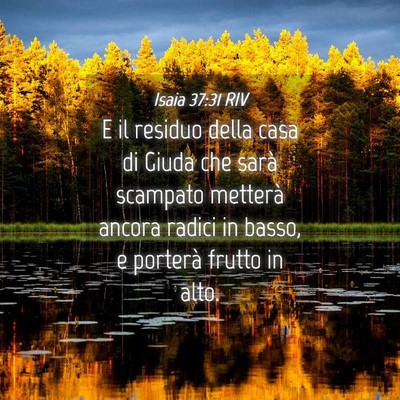 Picture 04 - Isaia 37:31 RIV - E il residuo della casa di Giuda che sarà - Bible Verse Picture