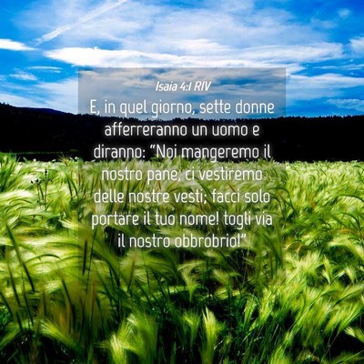 Picture 04 - Isaia 4:1 RIV - E, in quel giorno, sette donne afferreranno un - Bible Verse Picture