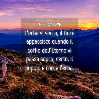 Picture 04 - Isaia 40:7 RIV - L’erba si secca, il fiore appassisce quando il - Bible Verse Picture