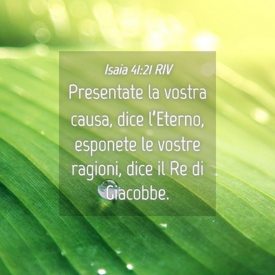 Picture 04 - Isaia 41:21 RIV - Presentate la vostra causa, dice l’Eterno, - Bible Verse Picture