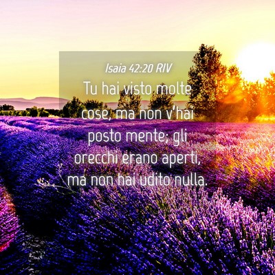Picture 04 - Isaia 42:20 RIV - Tu hai visto molte cose, ma non v’hai posto - Bible Verse Picture
