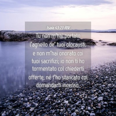 Picture 04 - Isaia 43:23 RIV - Tu non m’hai portato l’agnello de’ tuoi - Bible Verse Picture