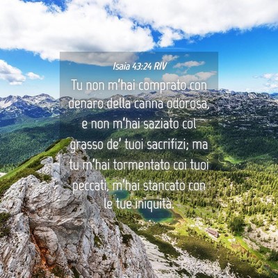Picture 04 - Isaia 43:24 RIV - Tu non m’hai comprato con denaro della canna - Bible Verse Picture