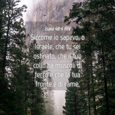Picture 04 - Isaia 48:4 RIV - Siccome io sapevo, o Israele, che tu sei - Bible Verse Picture