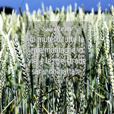 Picture 04 - Isaia 49:11 RIV - Io muterò tutte le mie montagne in vie, e le mie - Bible Verse Picture