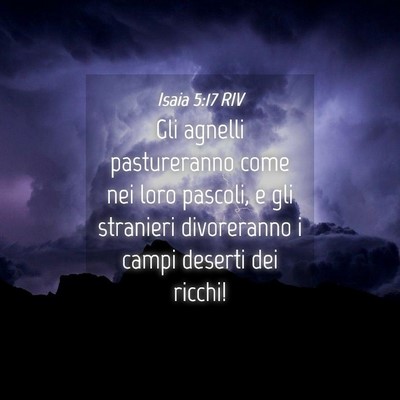 Picture 04 - Isaia 5:17 RIV - Gli agnelli pastureranno come nei loro pascoli, e - Bible Verse Picture