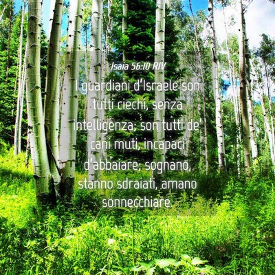 Picture 04 - Isaia 56:10 RIV - I guardiani d’Israele son tutti ciechi, senza - Bible Verse Picture